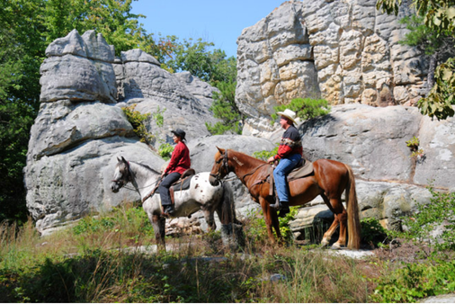 Shady Grove Horse Ranch