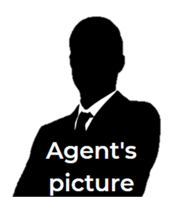 Best Realtor Pinellas