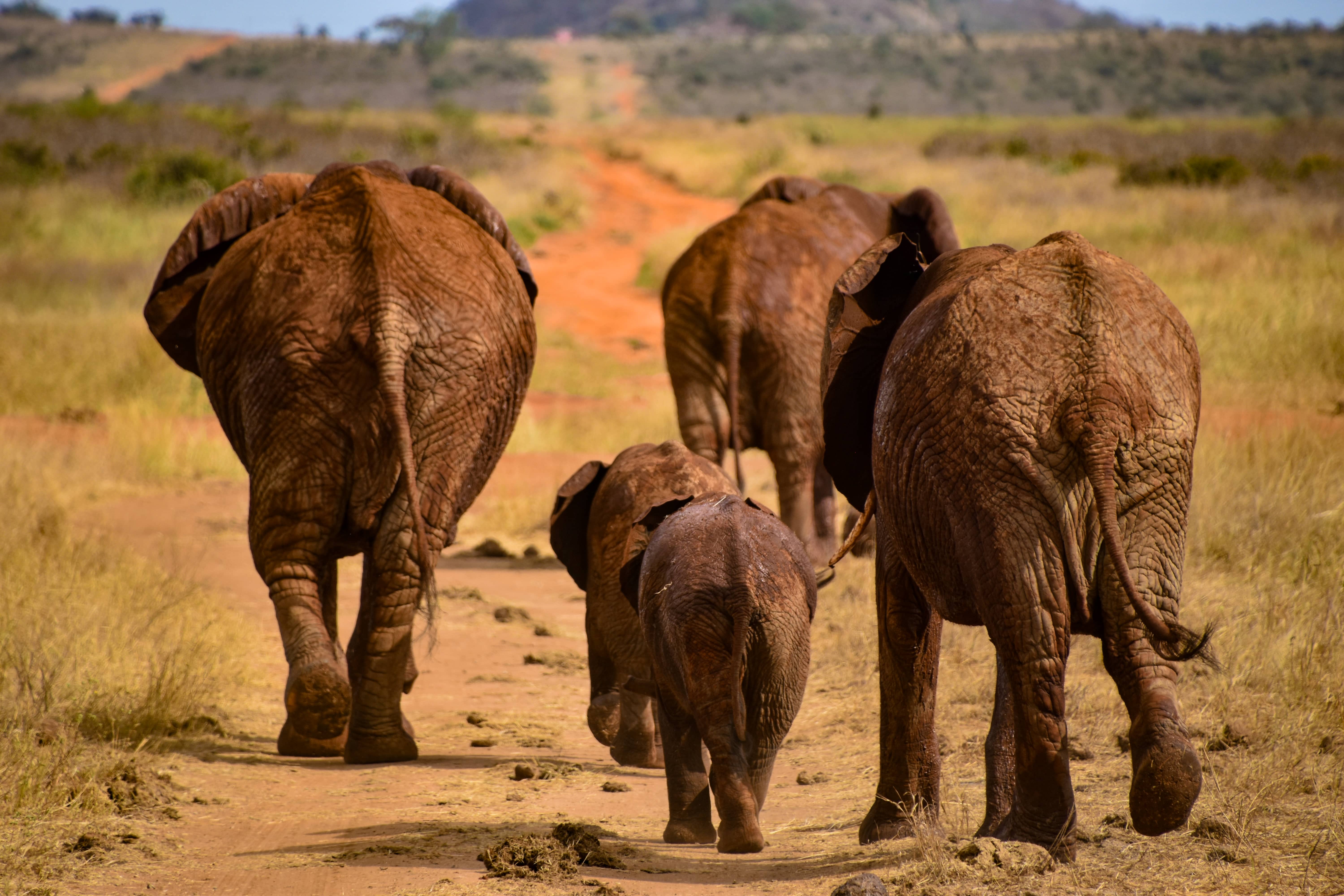 Staying Together-Tanzania