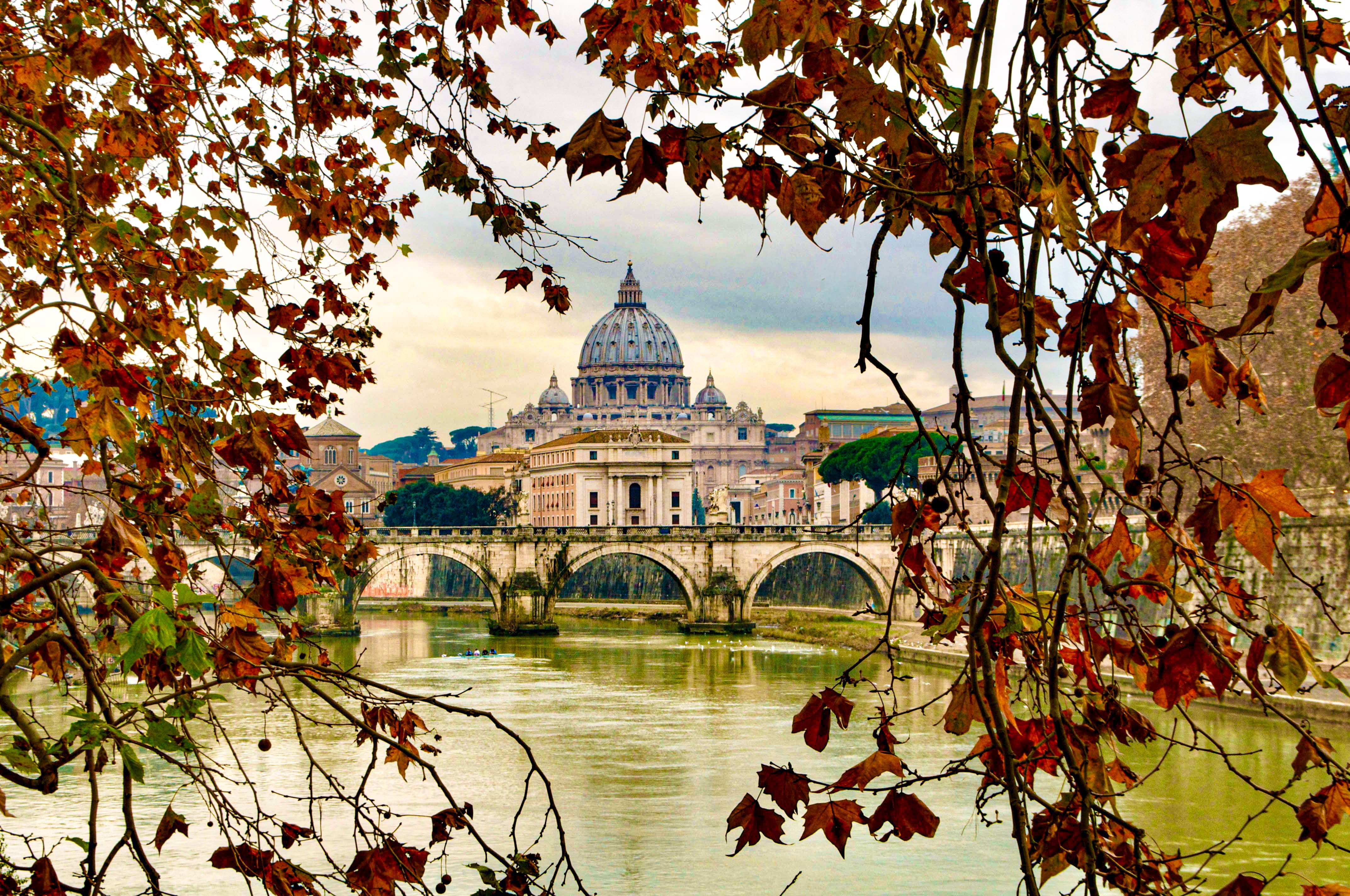 Thru the Leaves-Rome