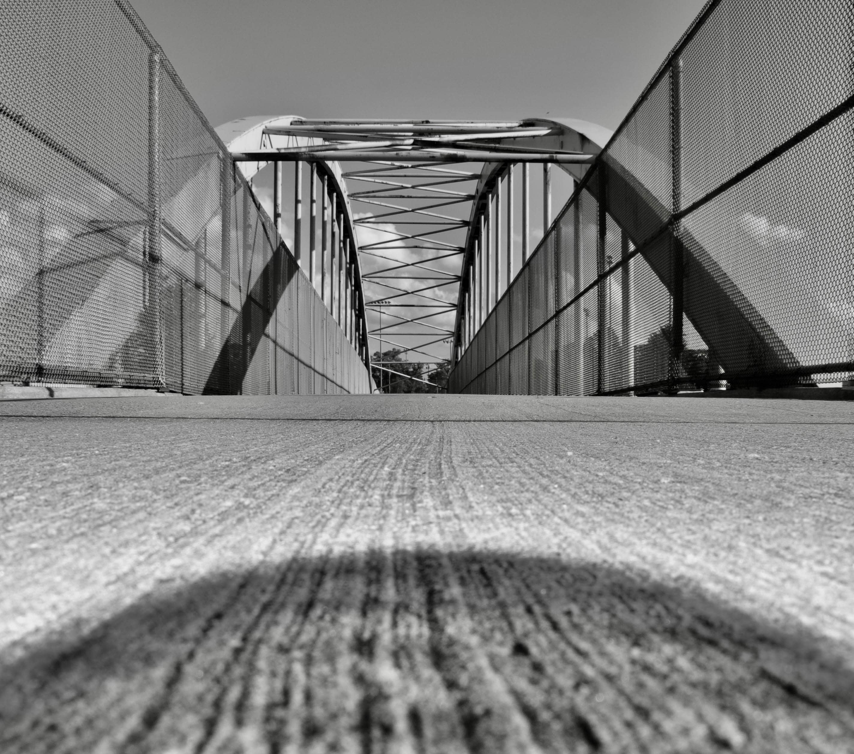 Ant Level View-Cleveland