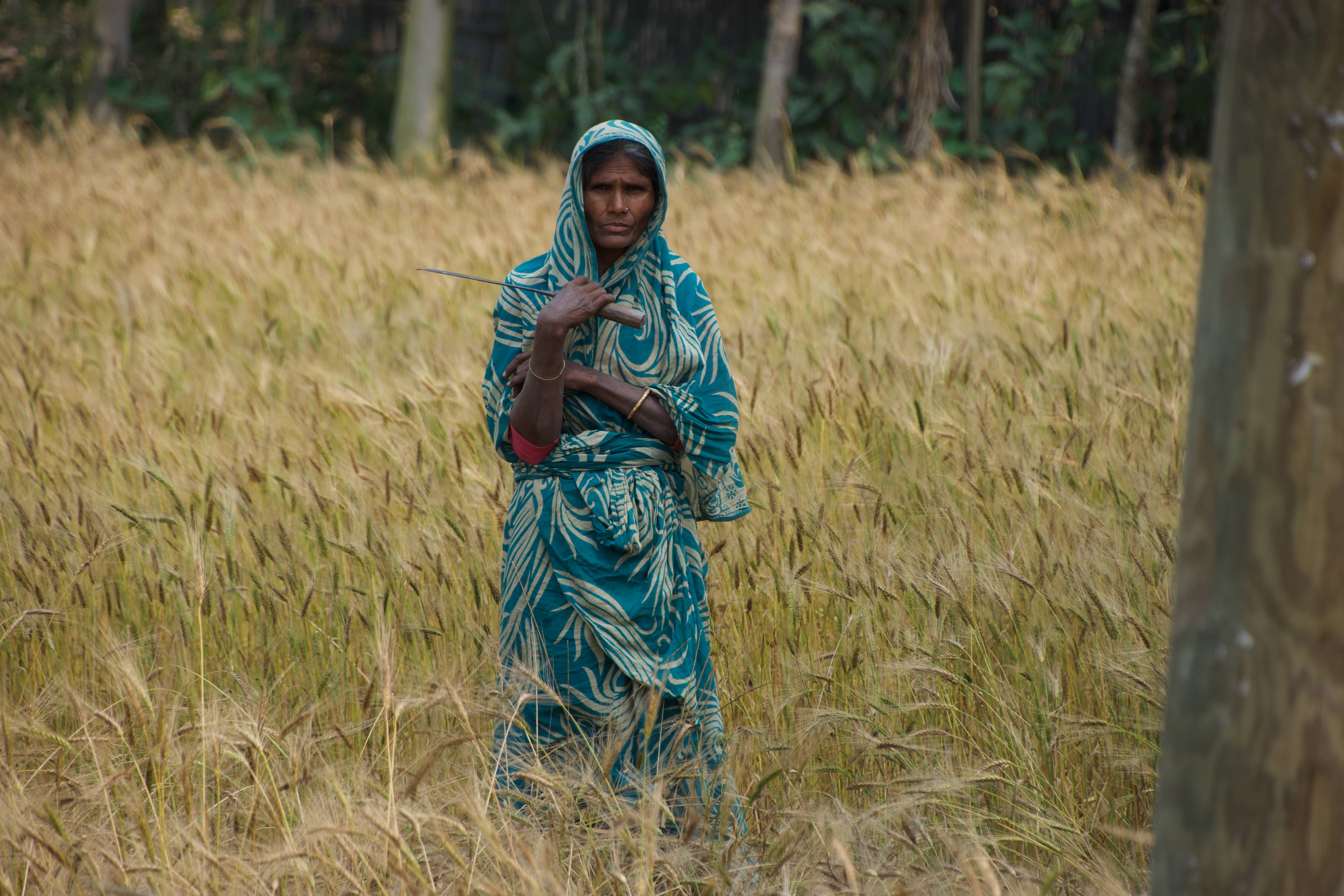 In the Field-Bangladesh