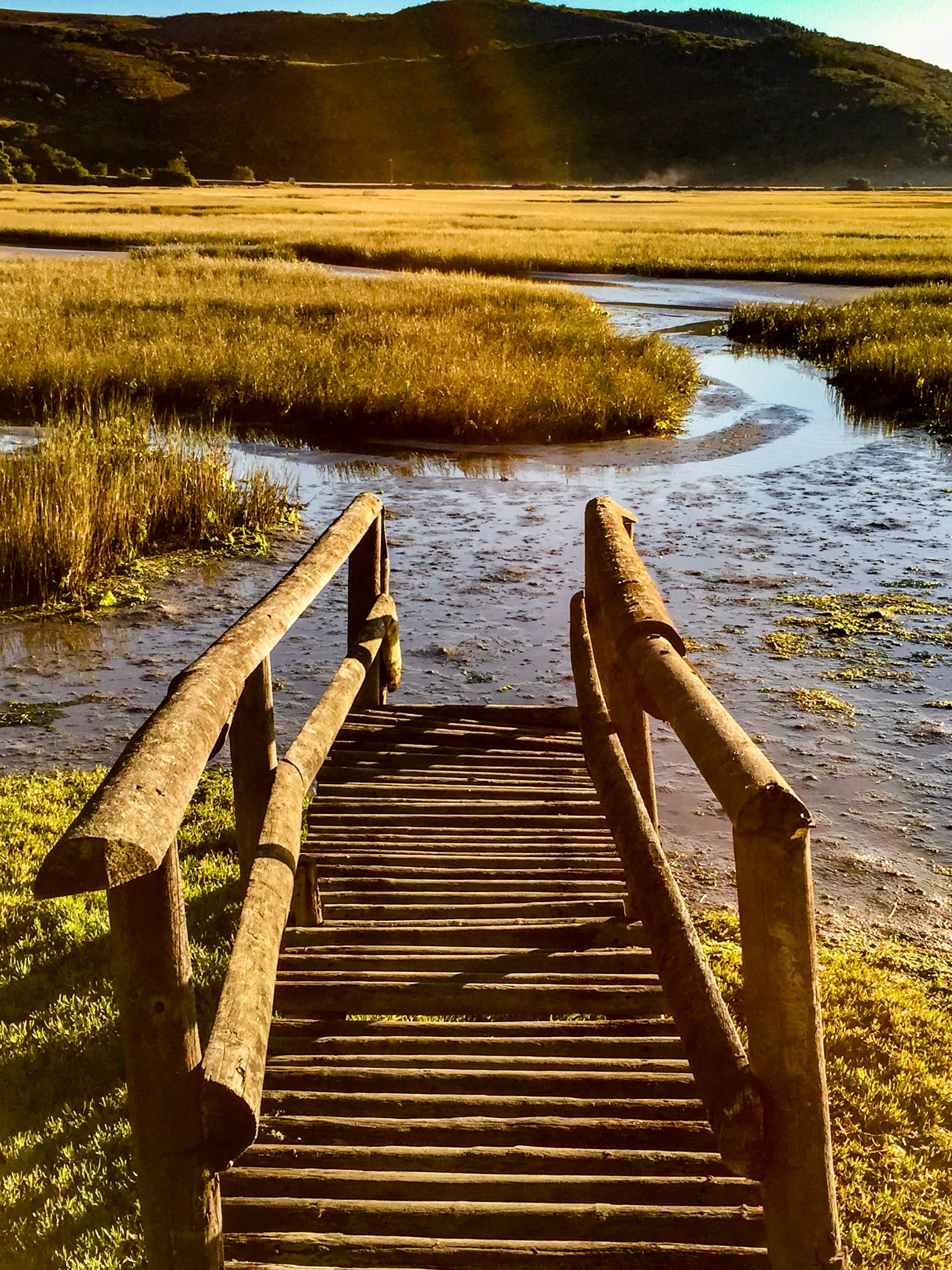 Short bridge stop-South Africa