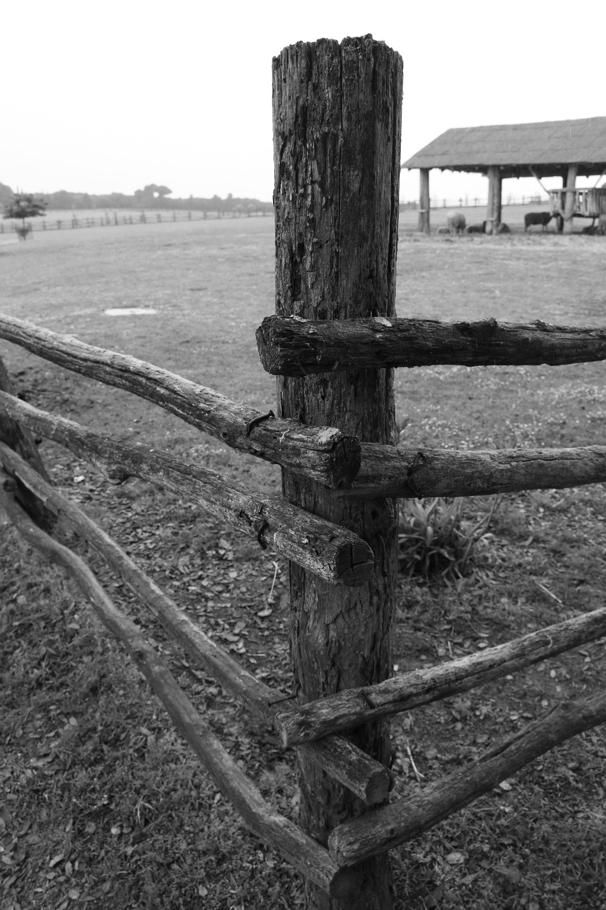 Corner Post - Croatia
