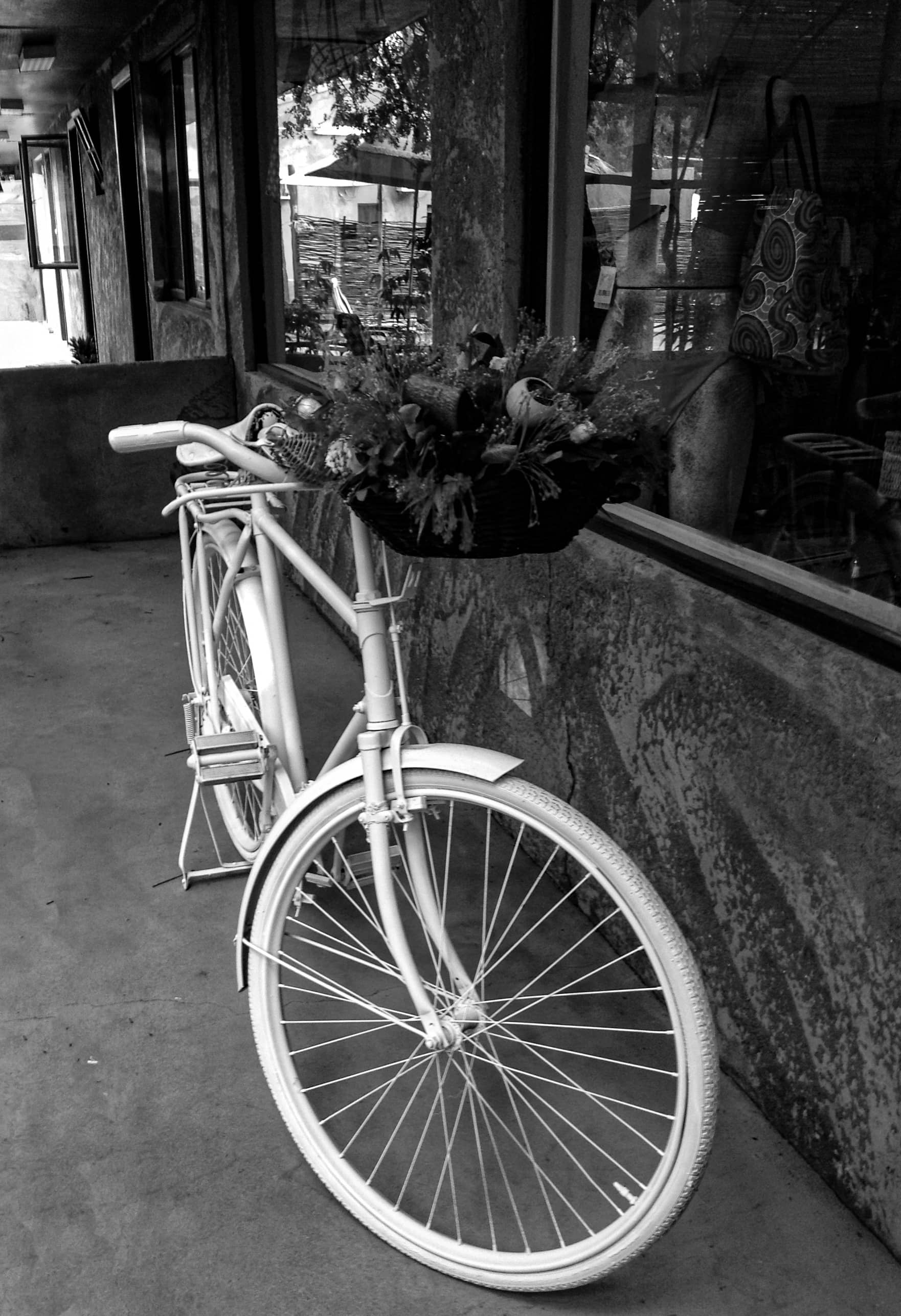 Pedals &  Petals in Monochrome.-South Africa