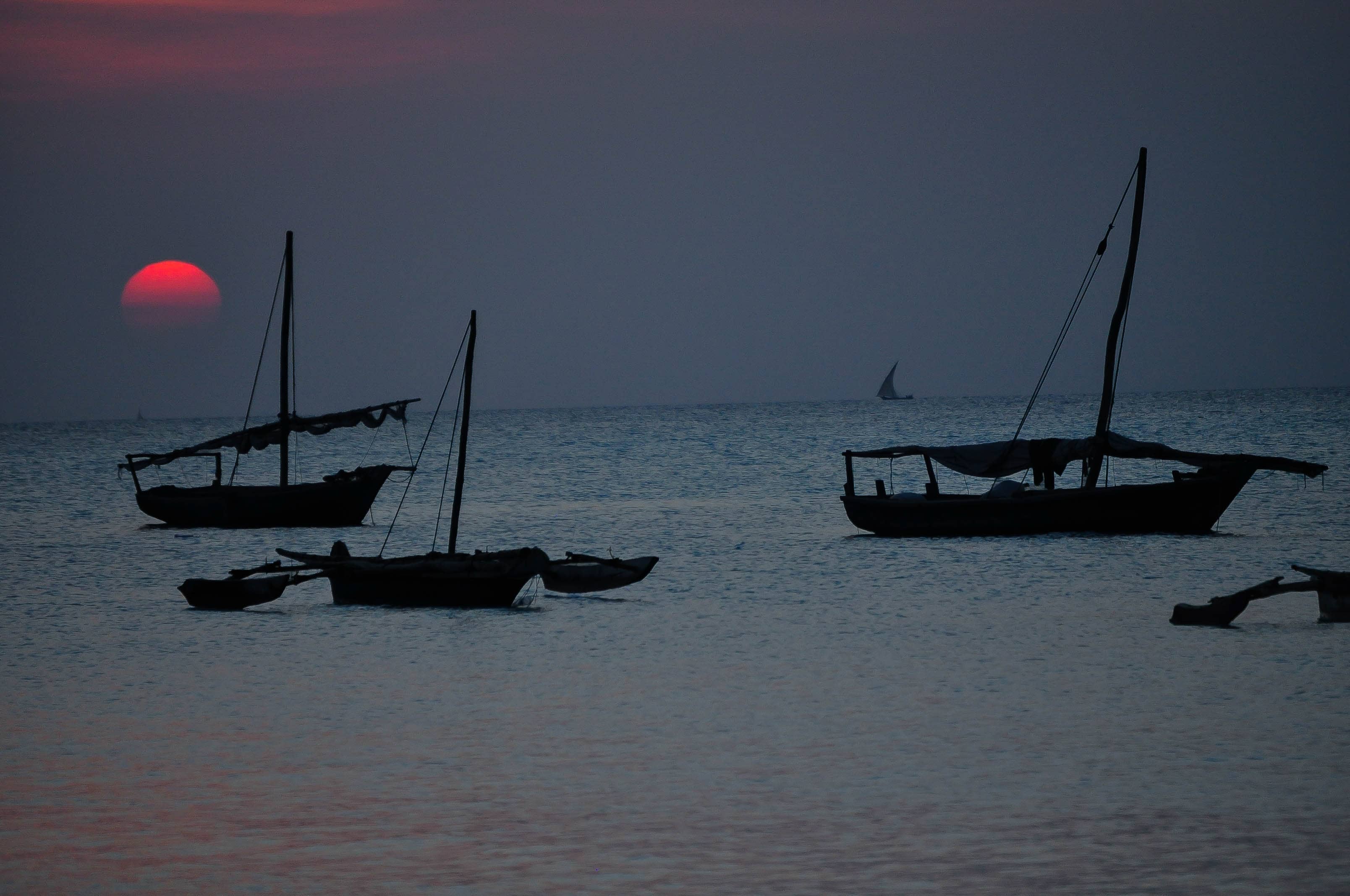 Laying Low Now-Zanzibar