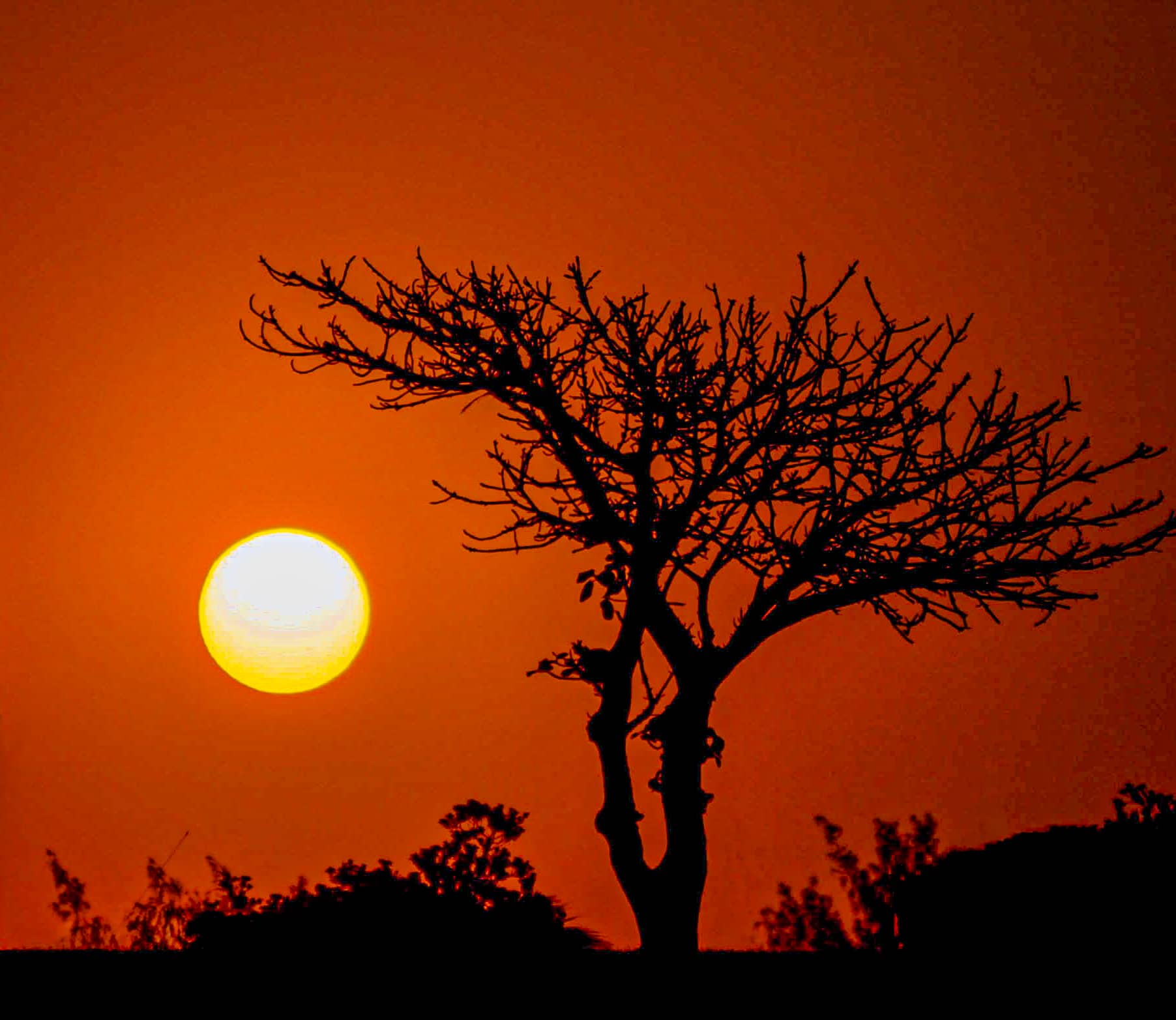 Watching Over-South Africa
