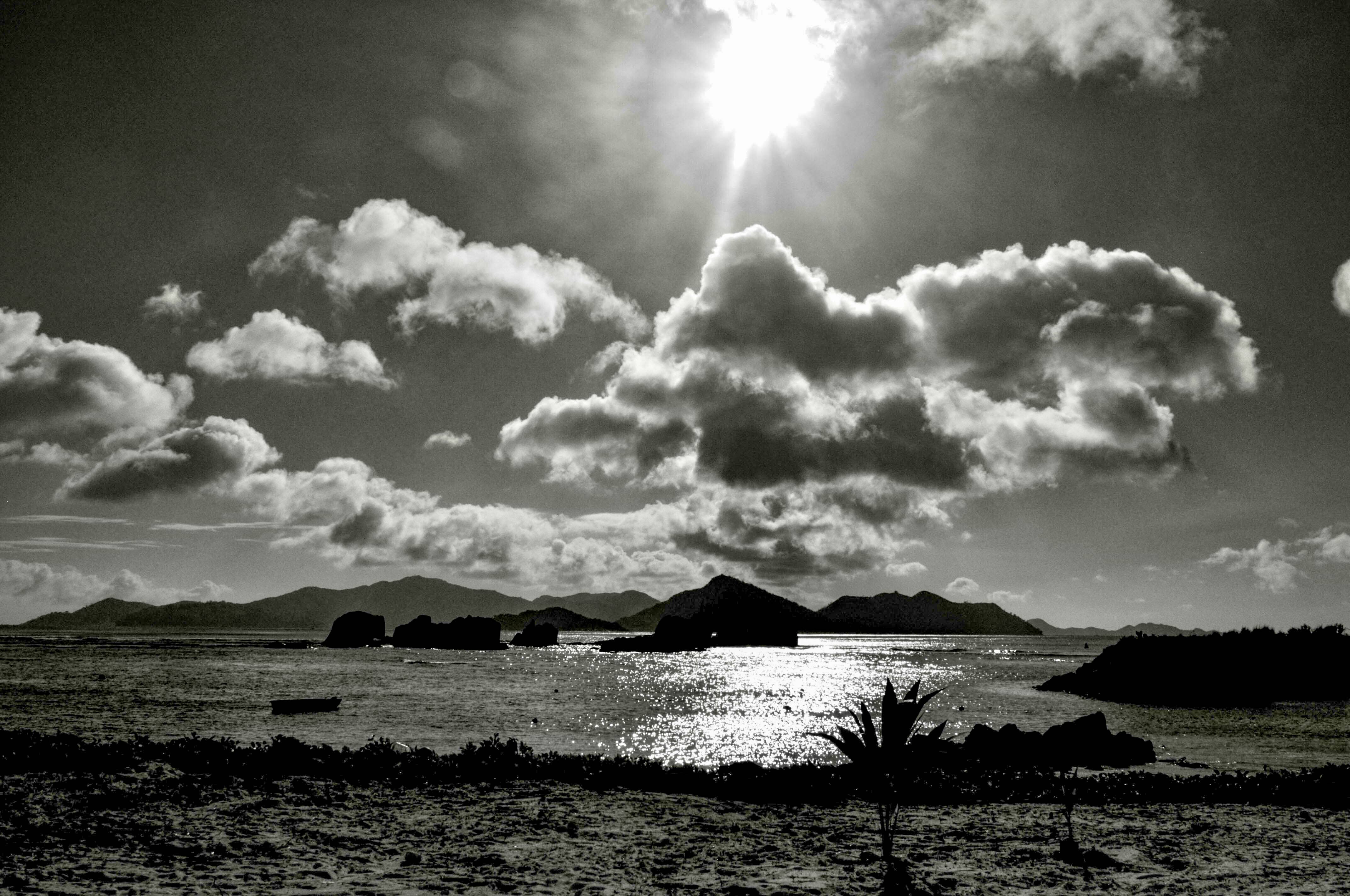 Shimmering Darkness-Madagascar