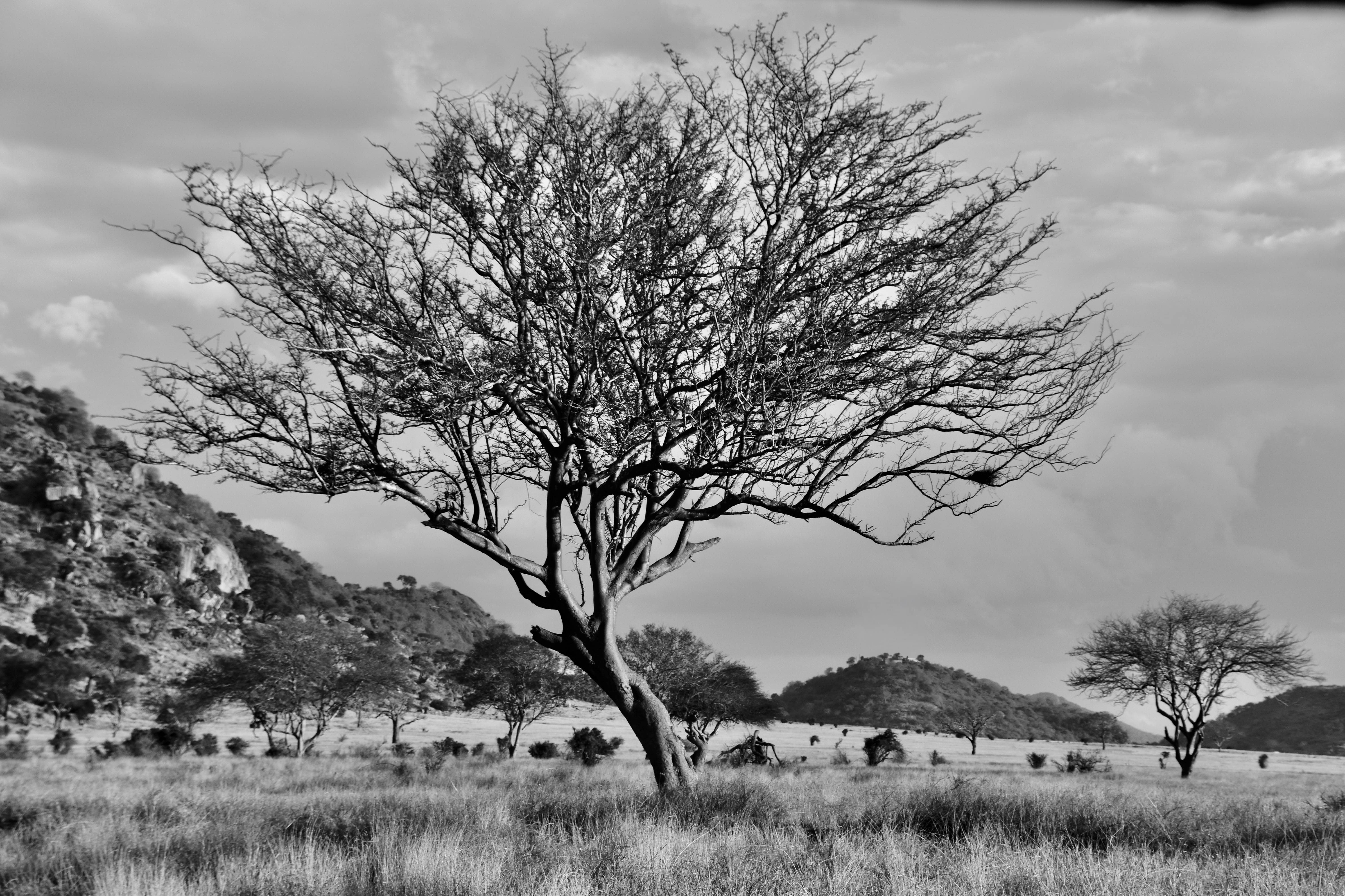 Not Ever Alone-Tanzania