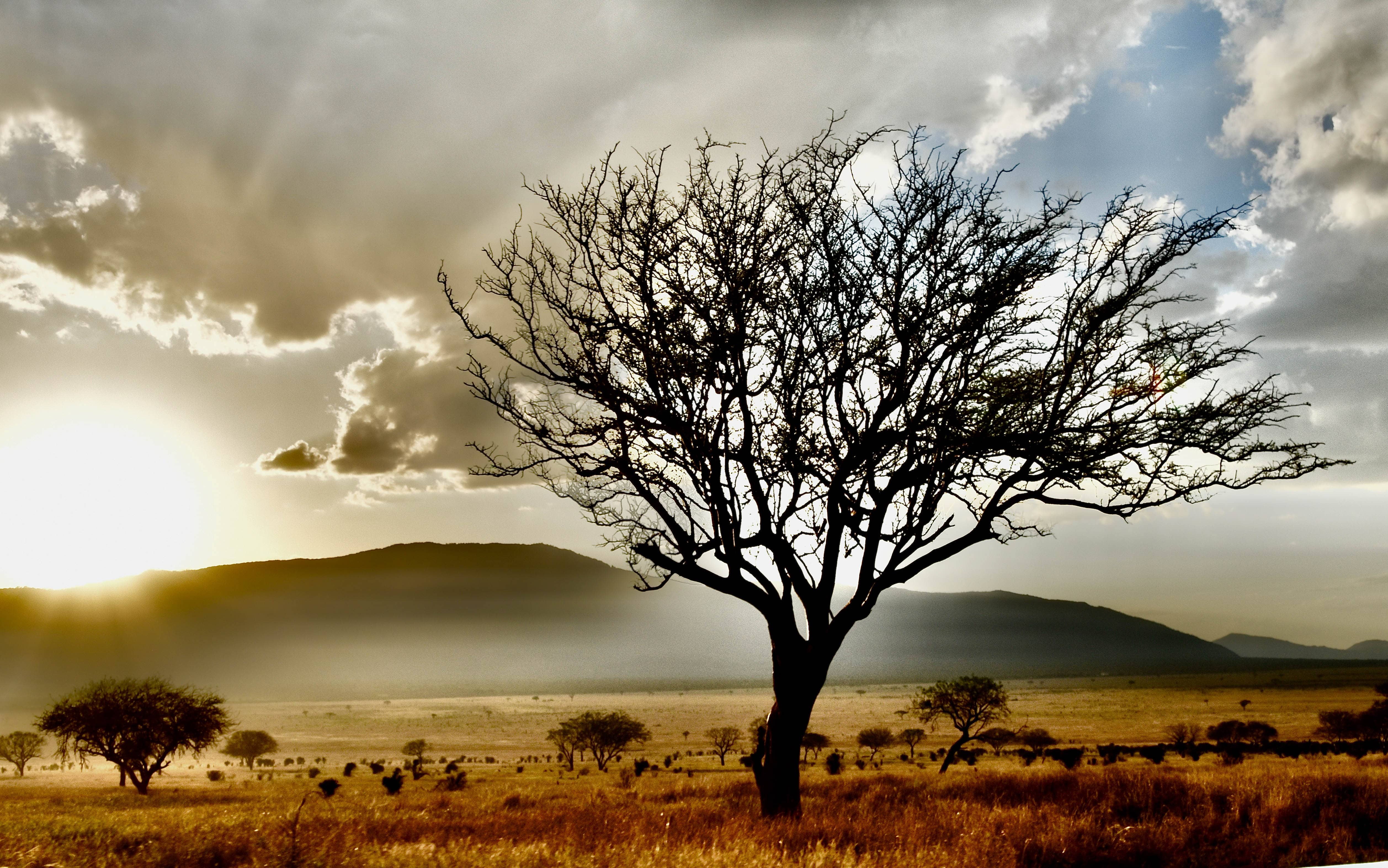 Haze & Cloud Covering.-Tanzania