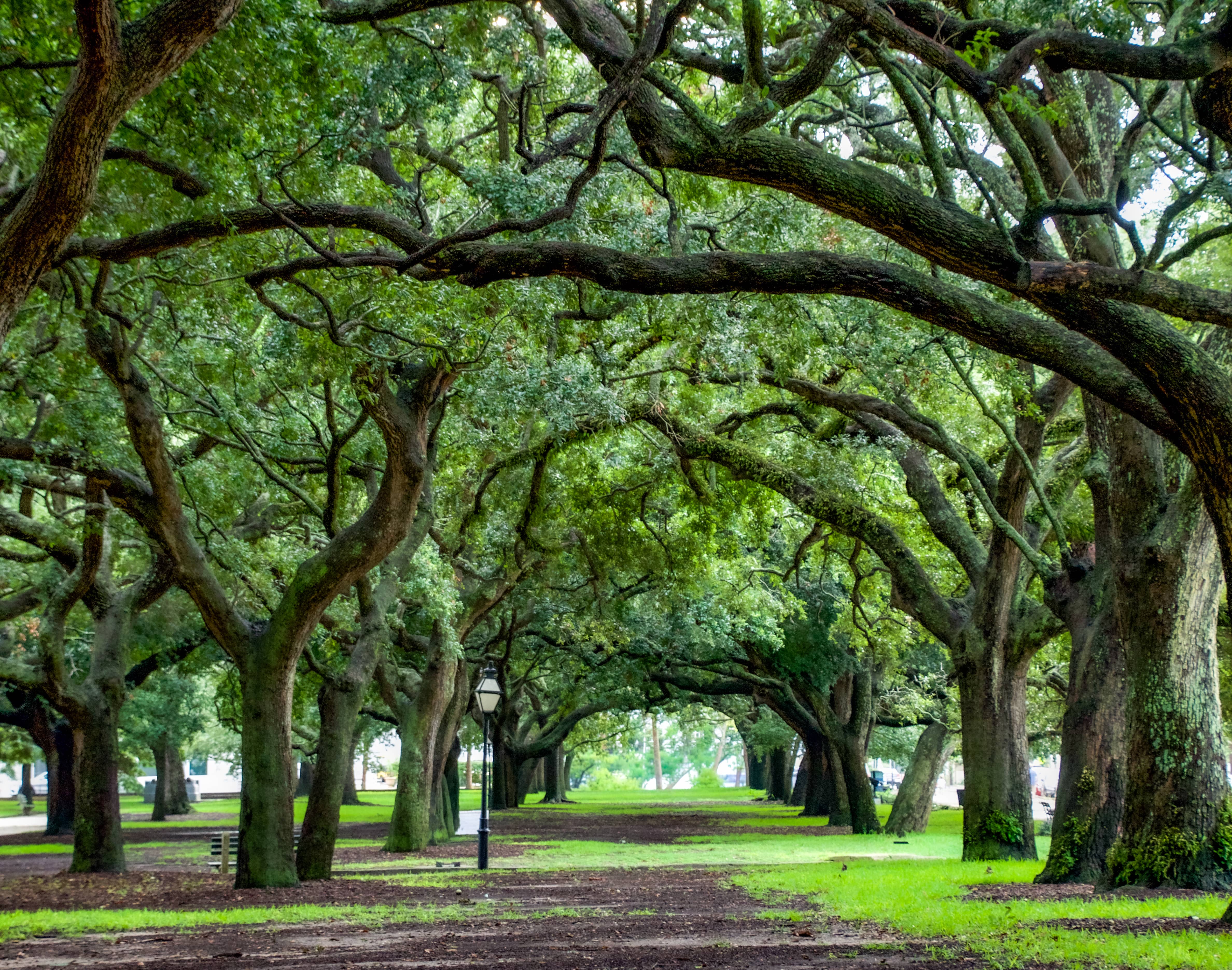 Archway Thru-Georgia