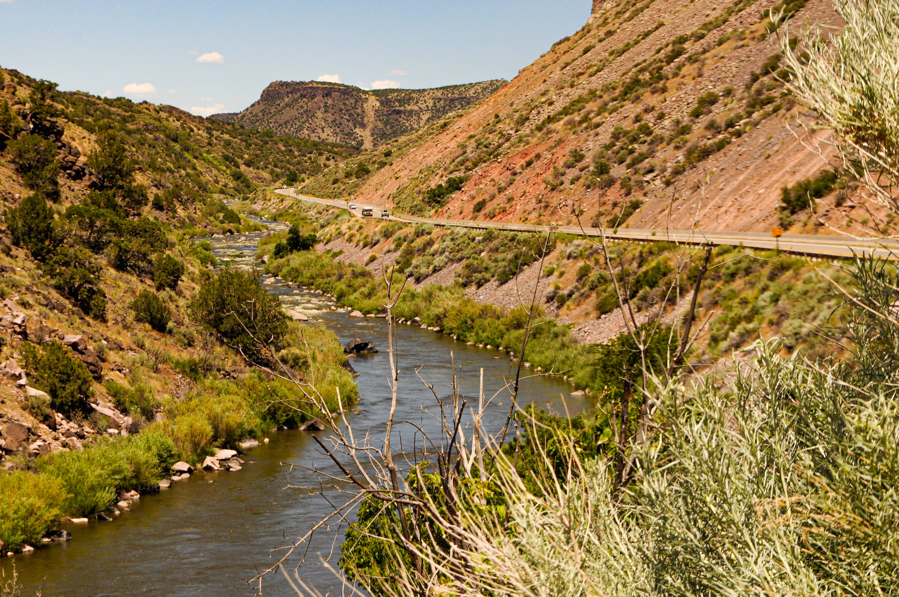 Along the Side-New Mexico