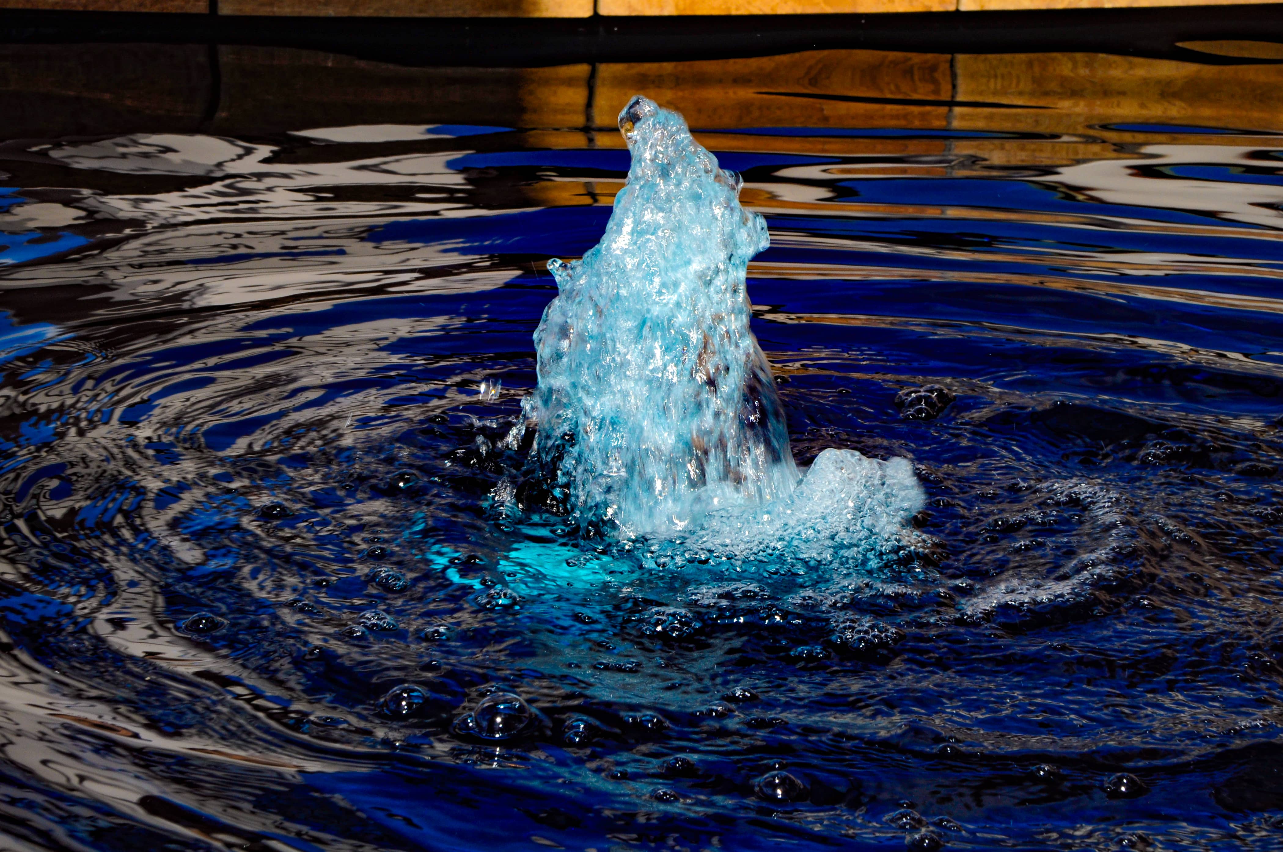 Bubbling Up-South Africa