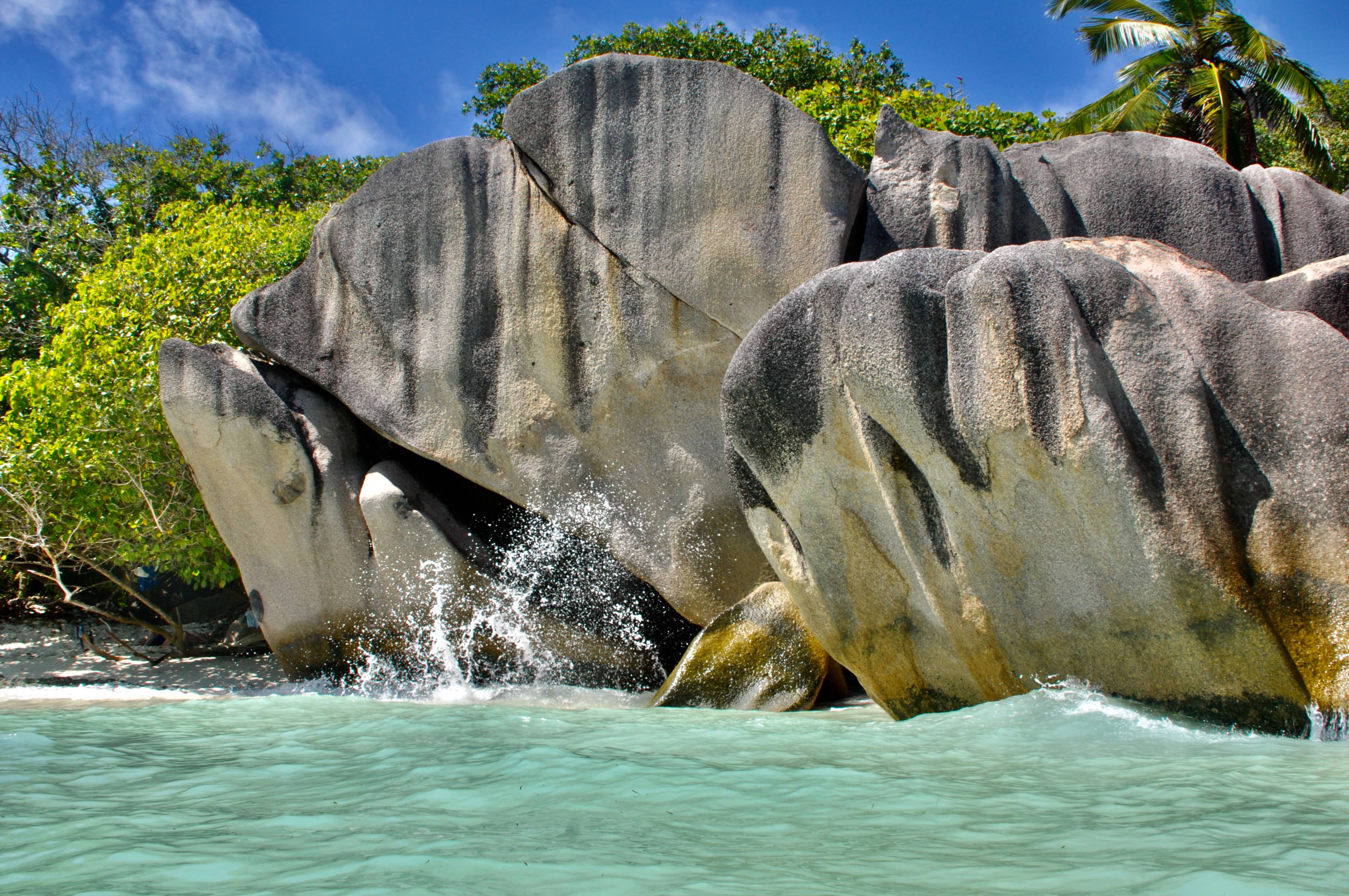 Leaning In-Seychelles