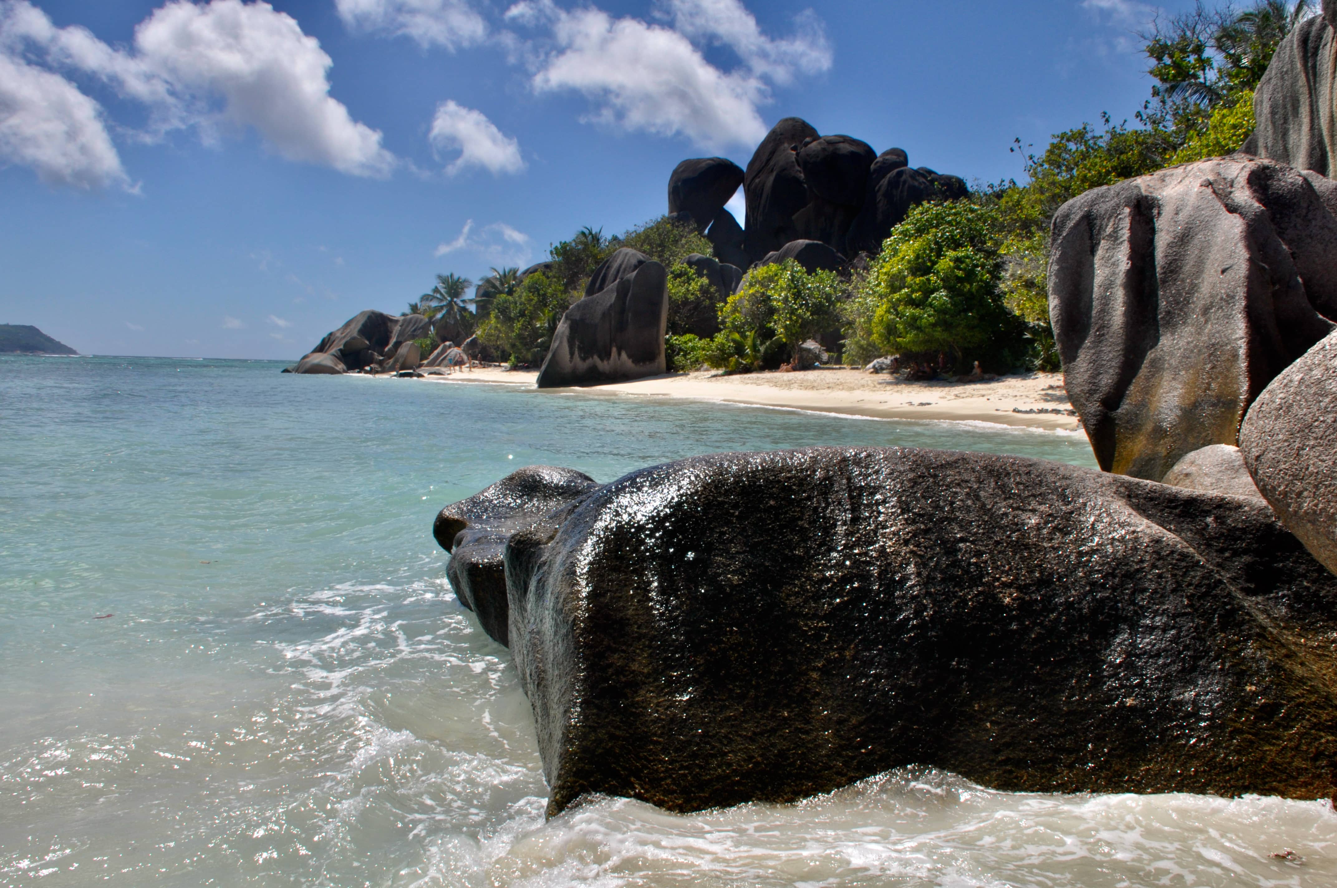 Black Green Blue-Seychelles