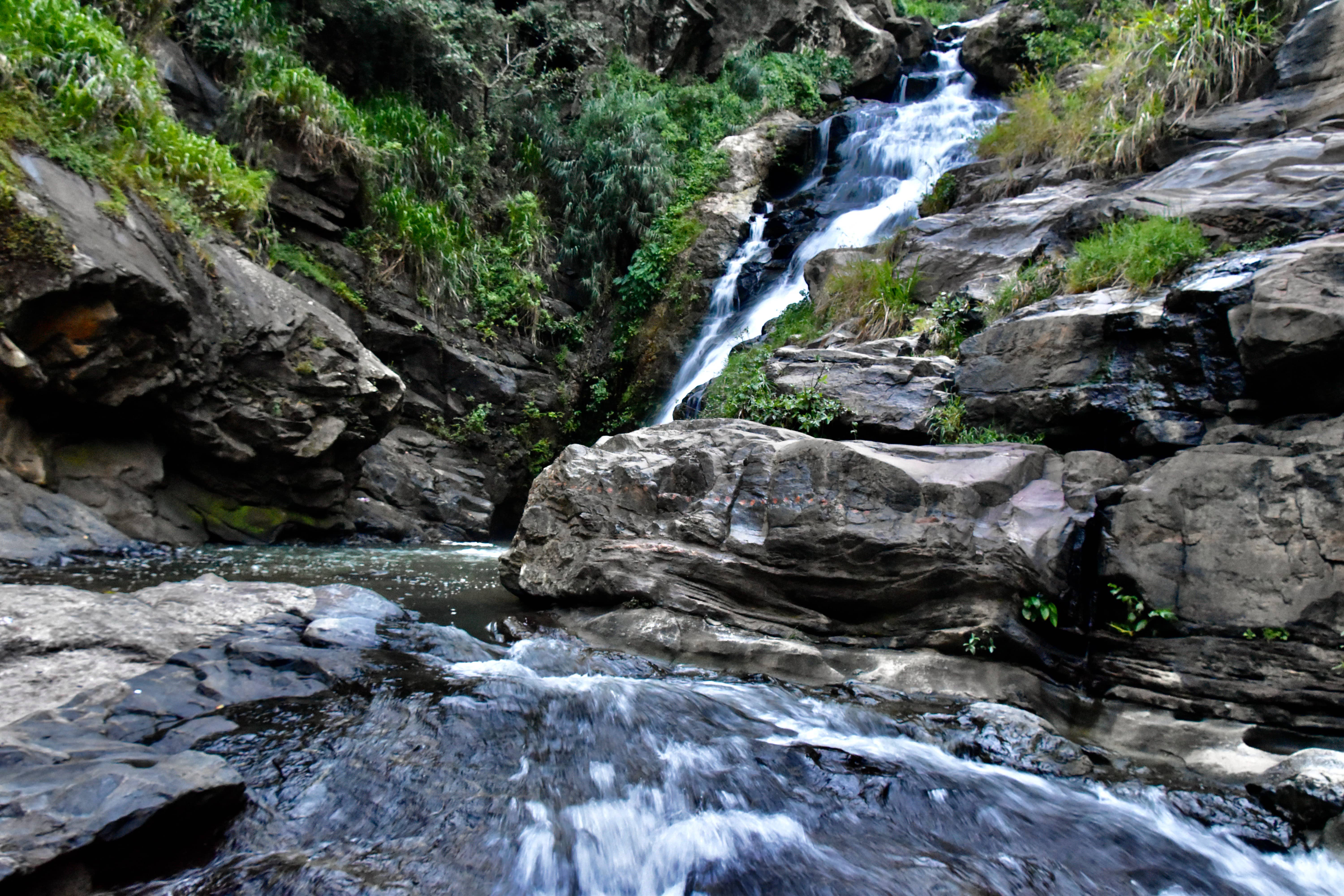 Every Direction Flow-Sri Lanka