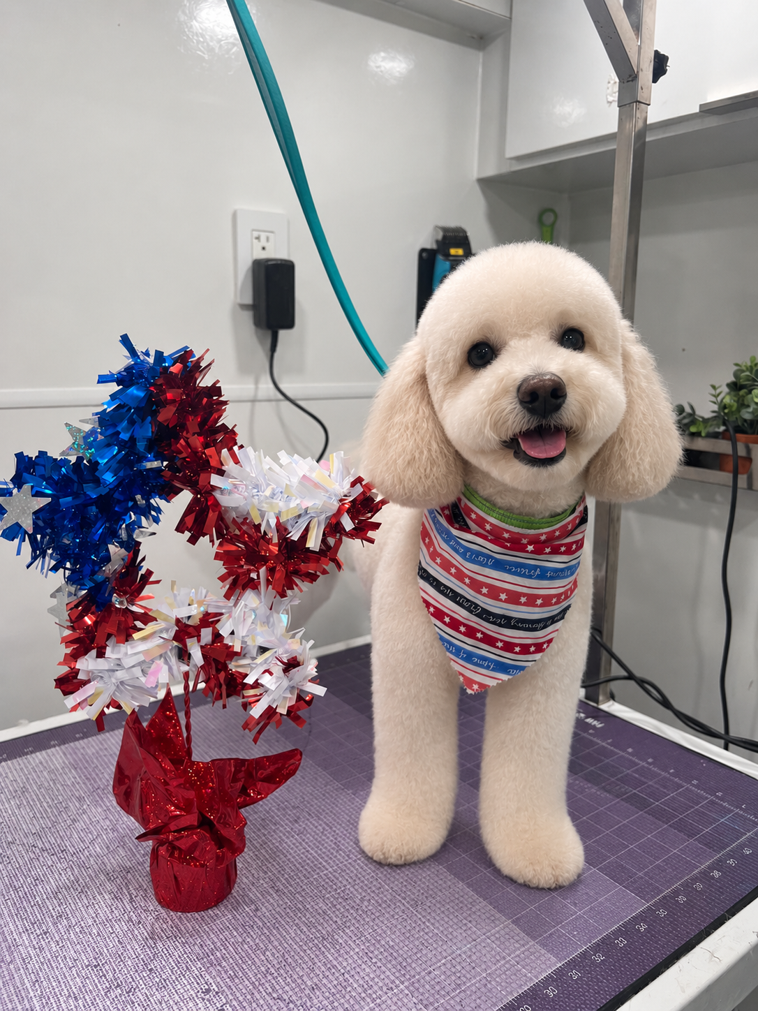 Friendly groomer confirming an appointment schedule by phone