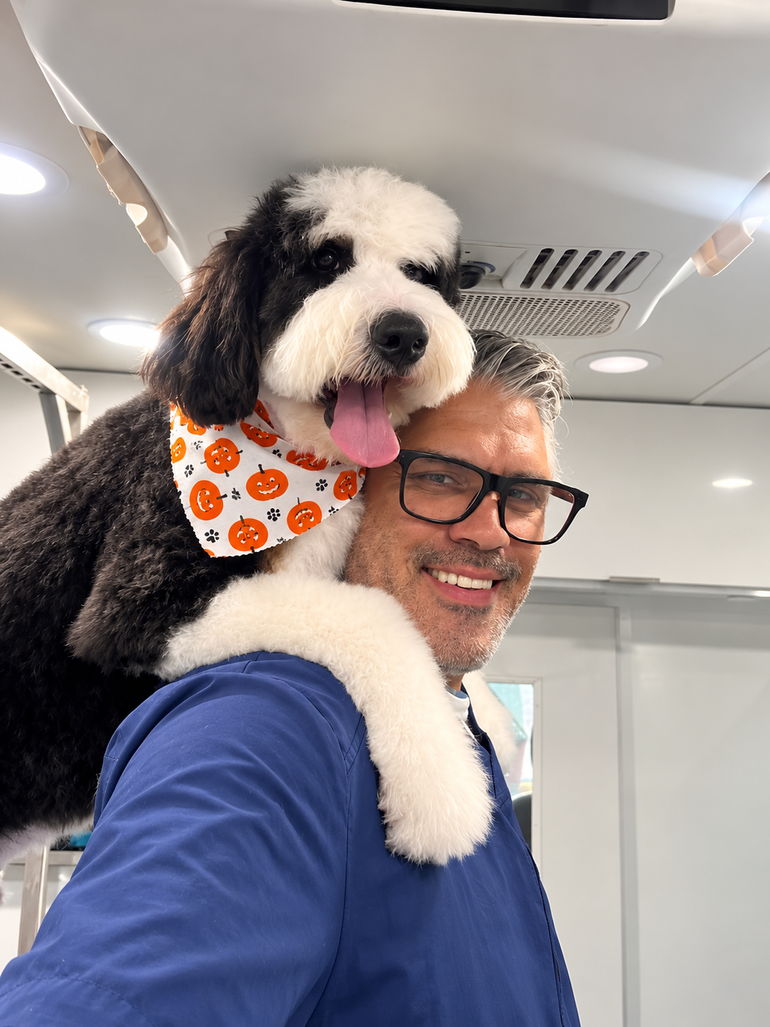 Groomer tidying a dog's paw area during a Mini Grooming visit