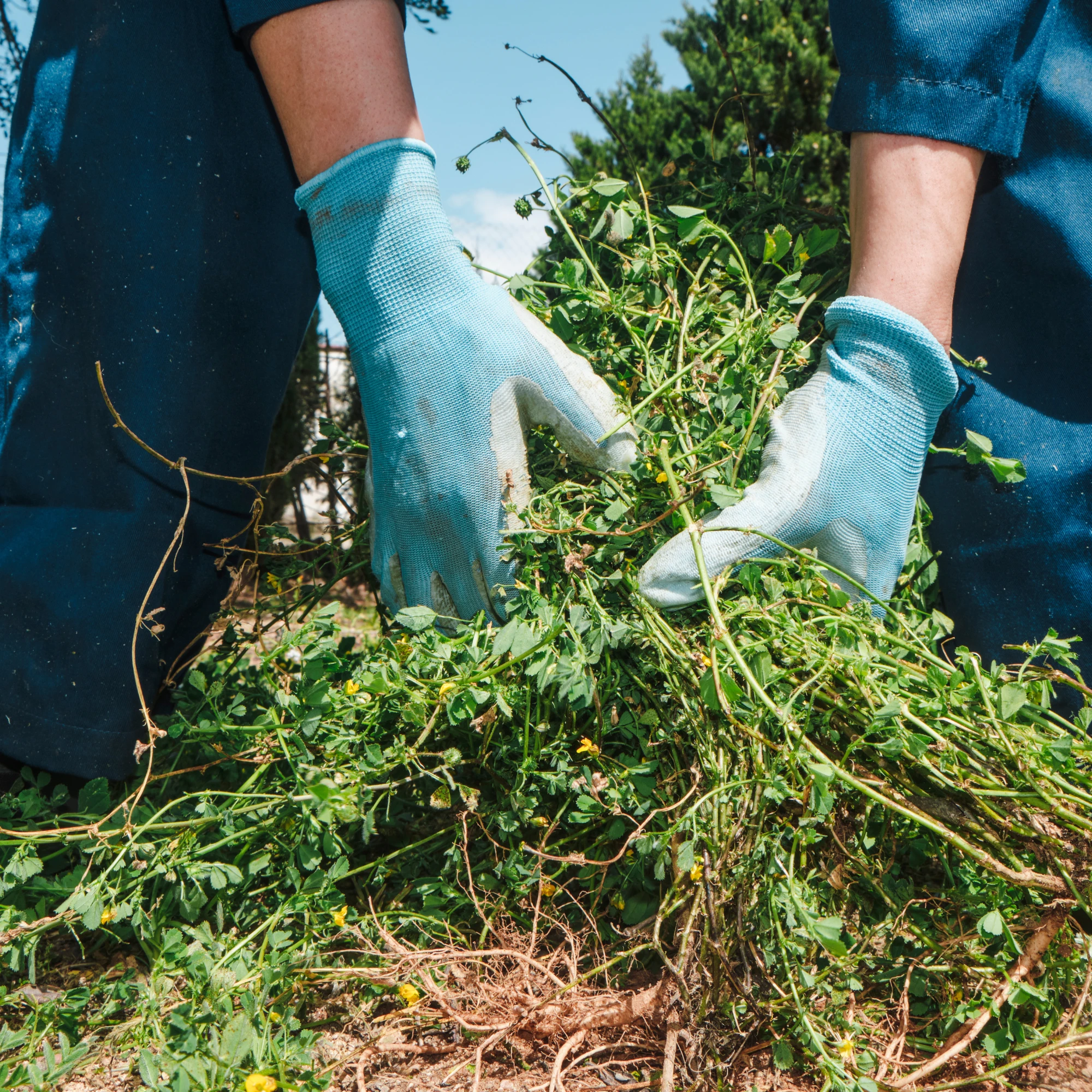 Bed Maintenance in Oakville & Mississauga