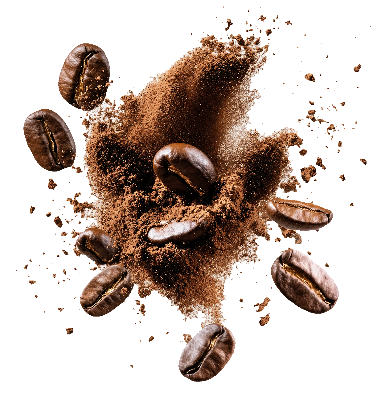 Coffee beans and coffee powder