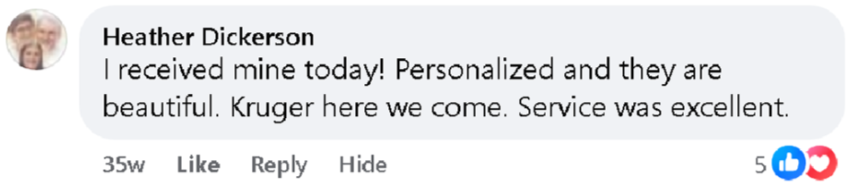 Buckle Buddy Seatbelt Dummy Silencer