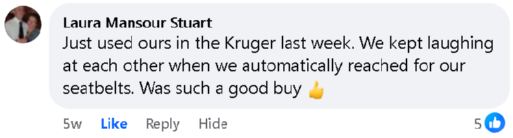 Buckle Buddy Seatbelt Dummy Silencer