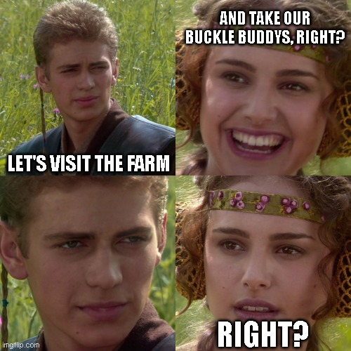 Buckle Buddy Seatbelt Dummy Silencer