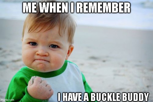 Buckle Buddy Seatbelt Dummy Silencer