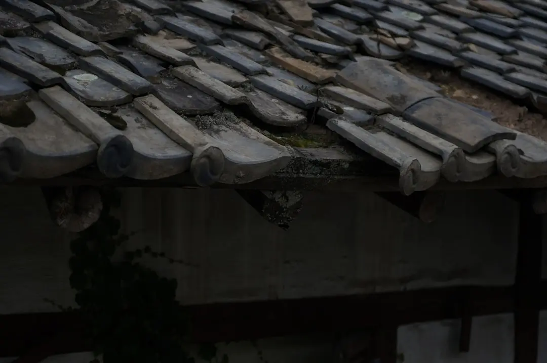 Close up of worn roof shingles showing early signs of damage during a professional roof inspection in Illinois