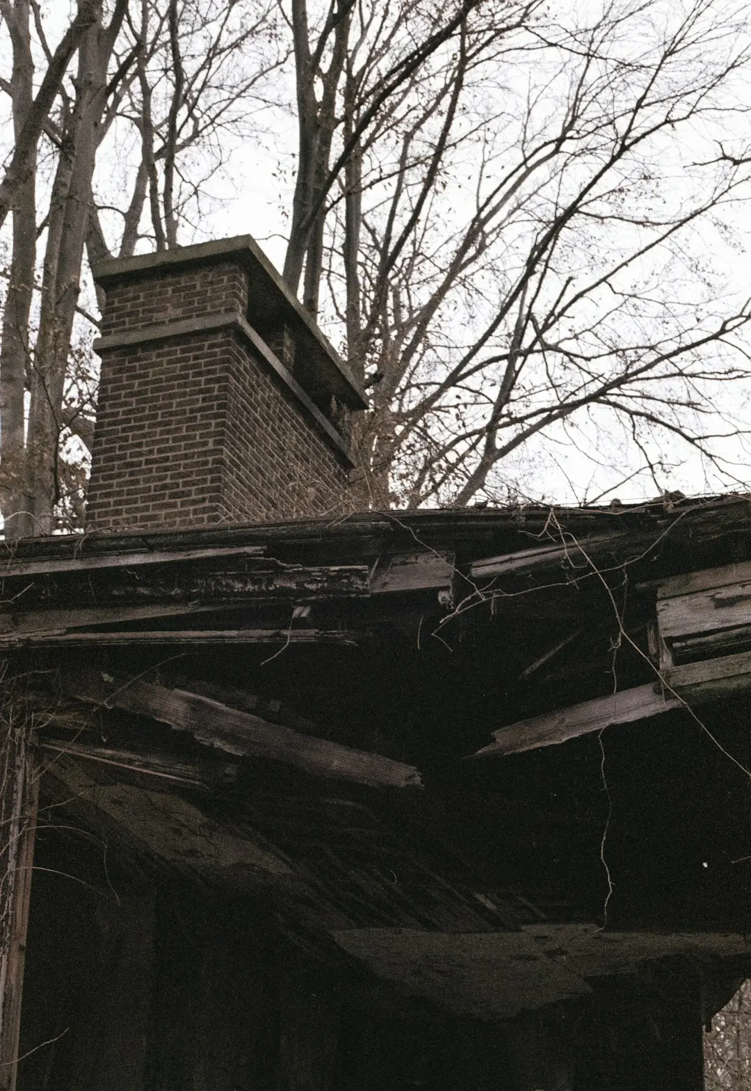 Damaged residential roof with deteriorating shingles showing the need for early roof repair to prevent leaks and structural damage