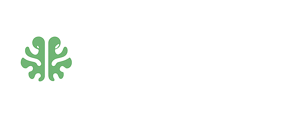 WebSmart logo