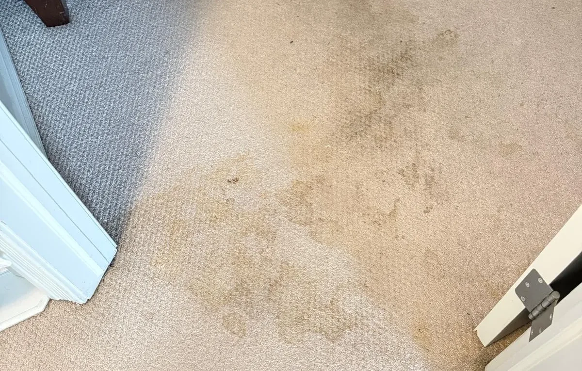 deep cleaned bathroom