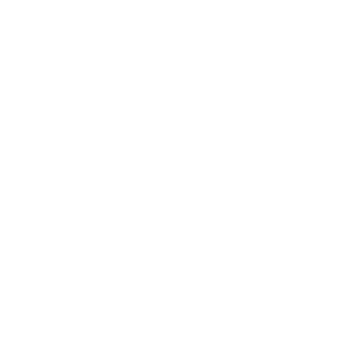 The Home Depot