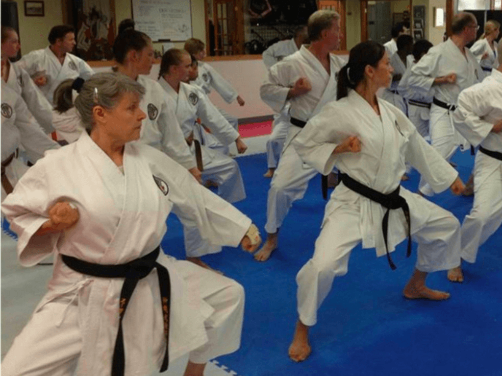 adults of all ages and ranks practicing karate form in class adults of all ages and ranks practicing karate form in class