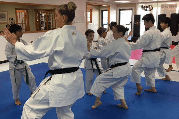 family karate classes in Colorado Springs family karate classes in Colorado Springs