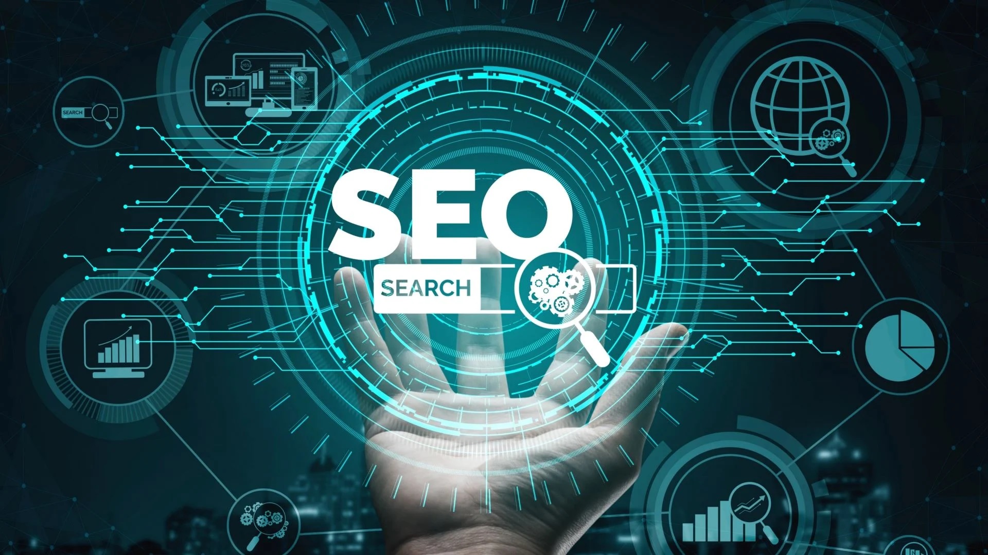 Affordable Local SEO Packages Colorado