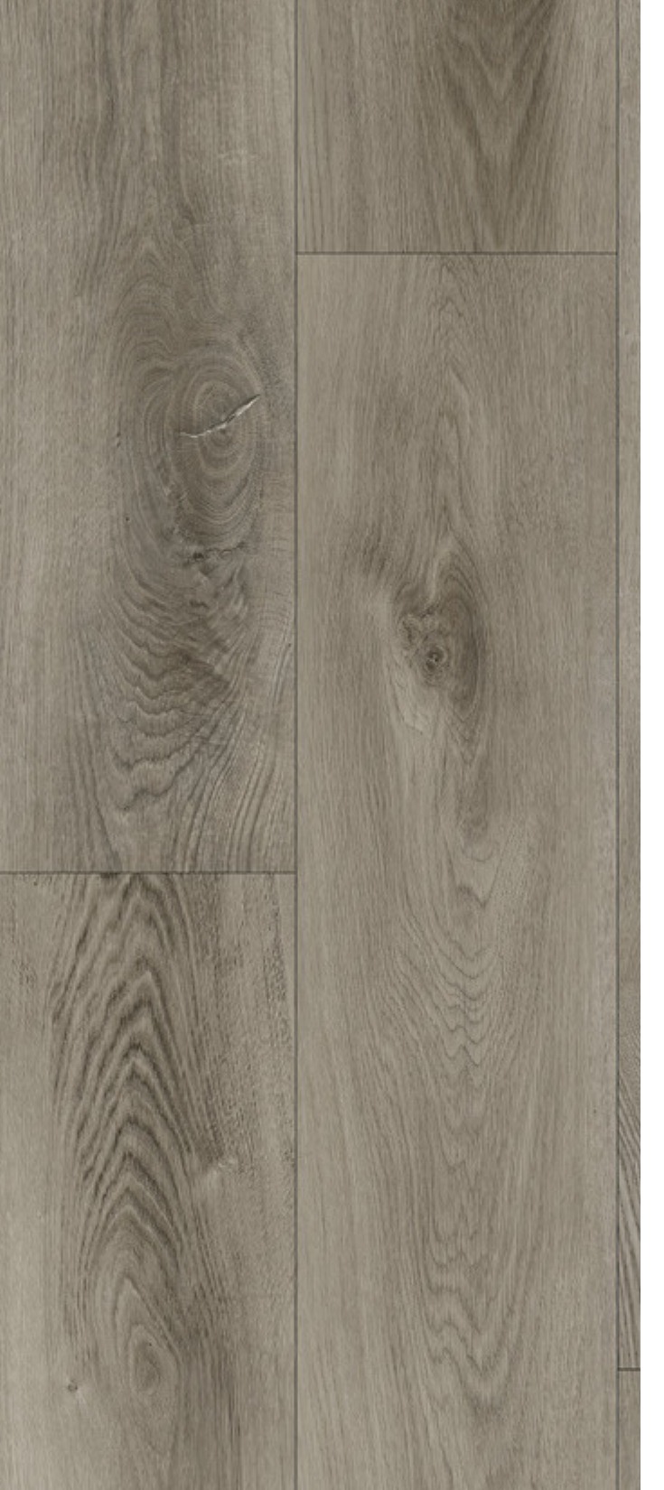 By Design Northern Gray LVP swatch