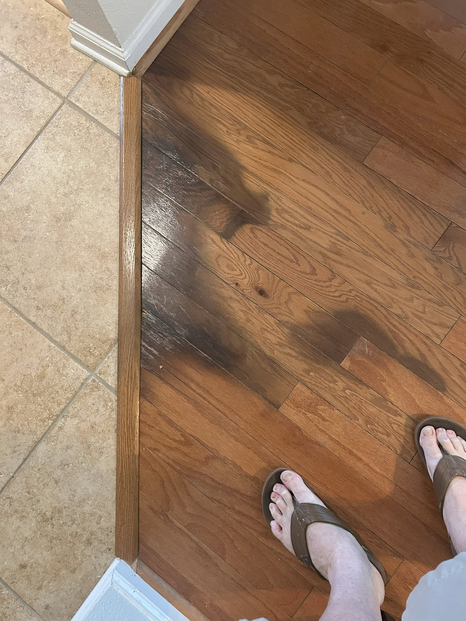 Dark, scuffed hardwood boards beside a tile transition before repair.