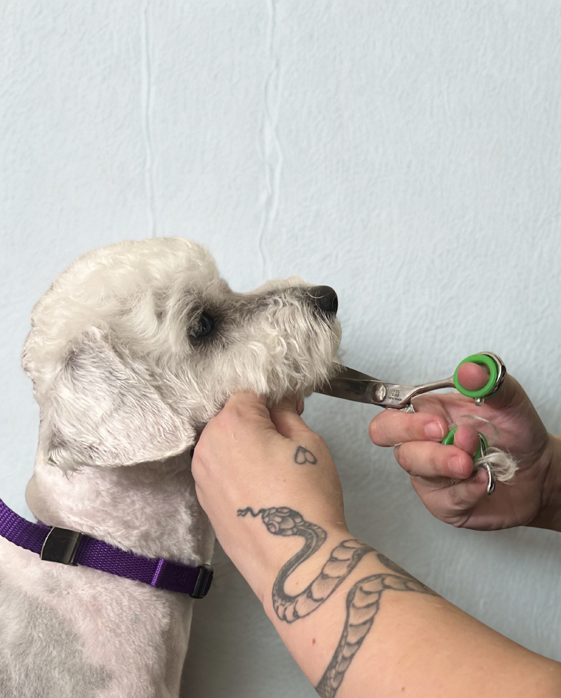 Bath, Blow Dry & Brush-Out