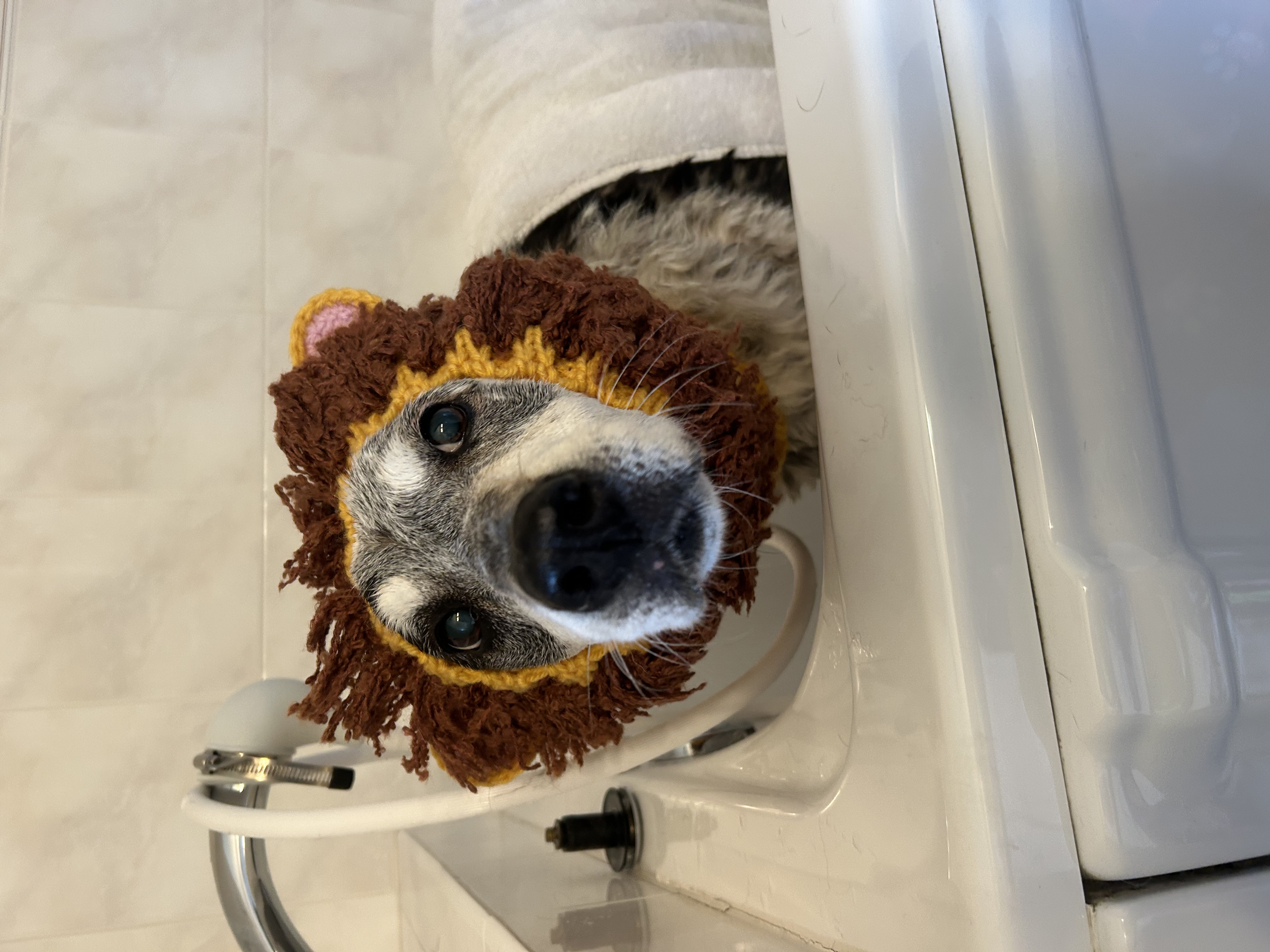 Bath, Blow Dry & Brush-Out