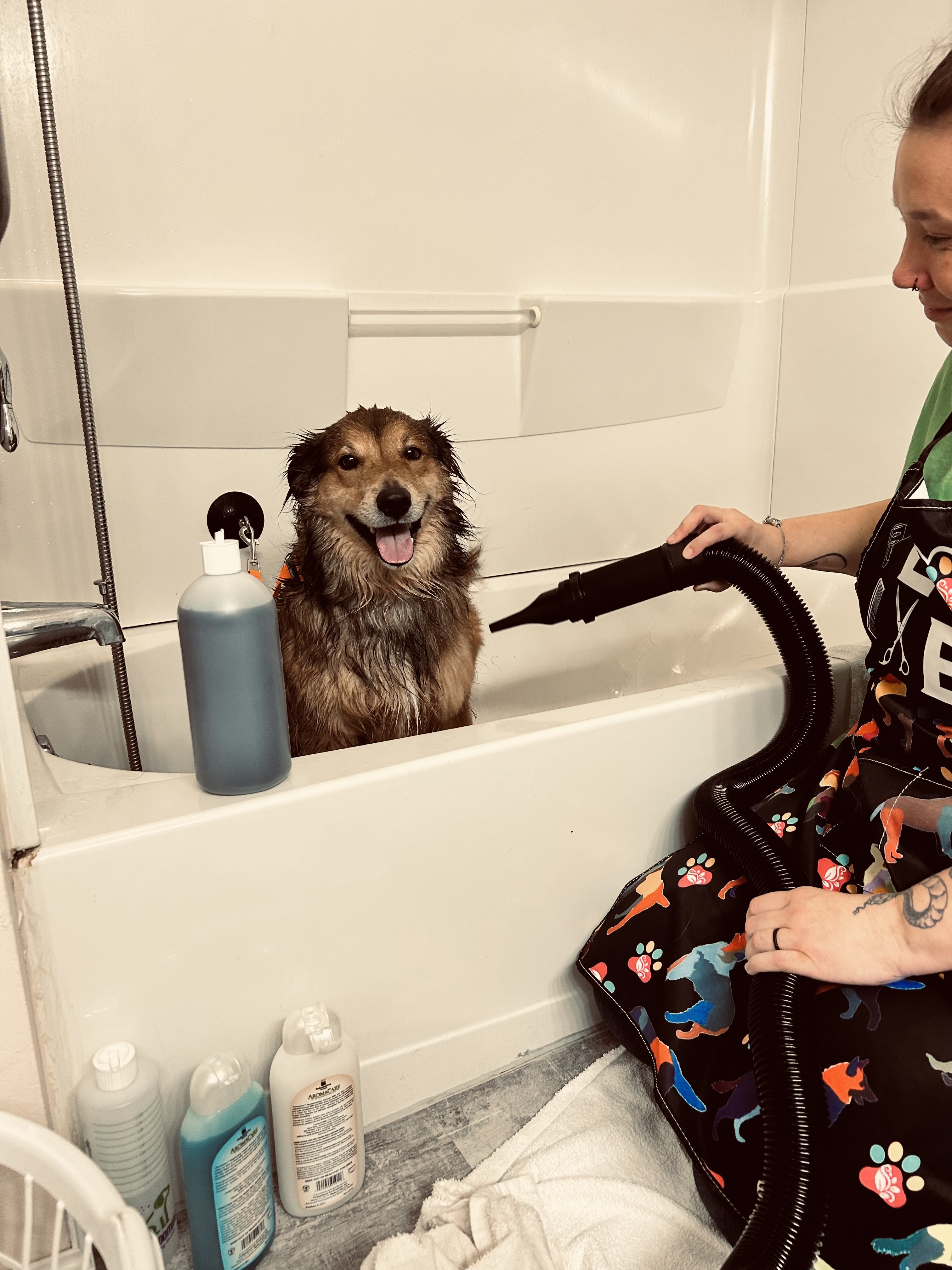 Sewickley Heights Bath, Blow Dry & Brush-Out