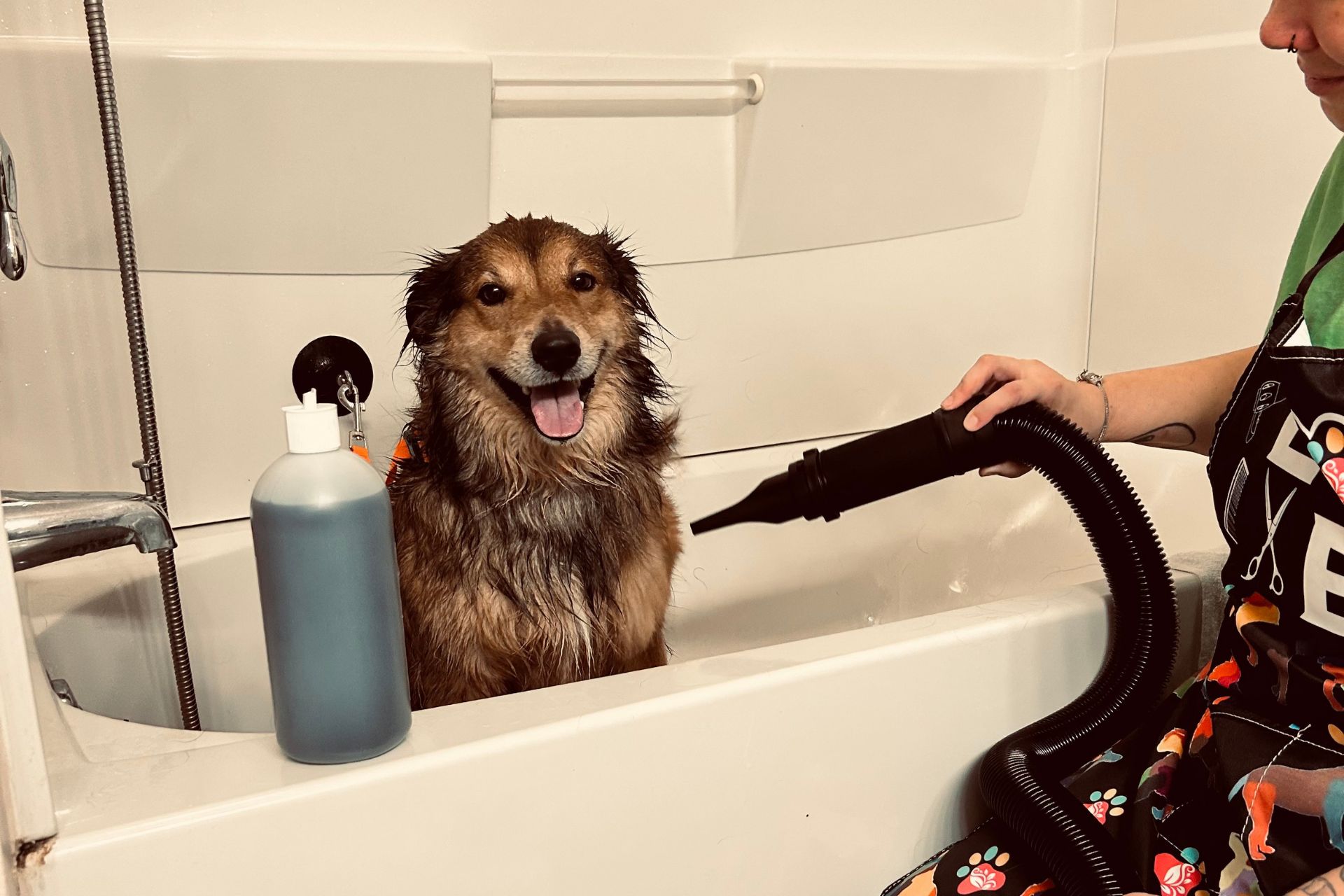 De-Shedding Fox Chapel