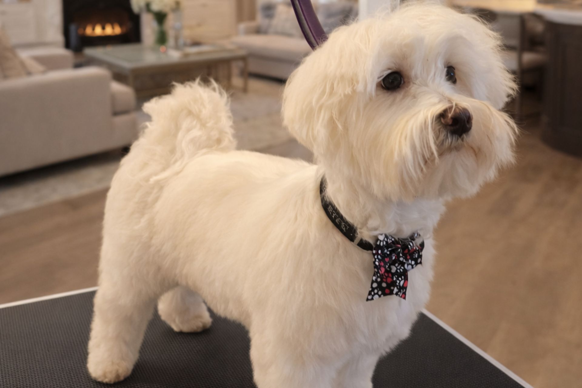 {{ custom_values.service_1 }} in {{custom_values.biz_area_1})