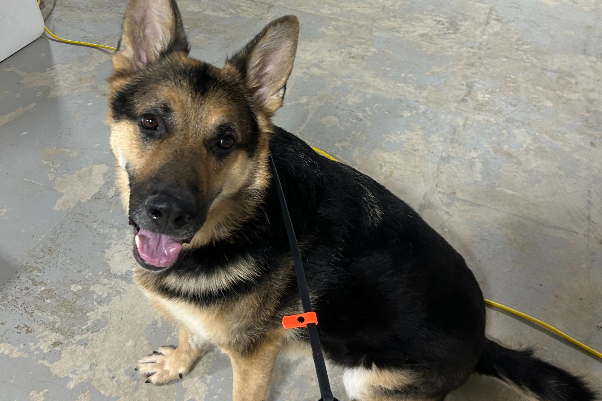 Sewickley Heights Ear Cleaning