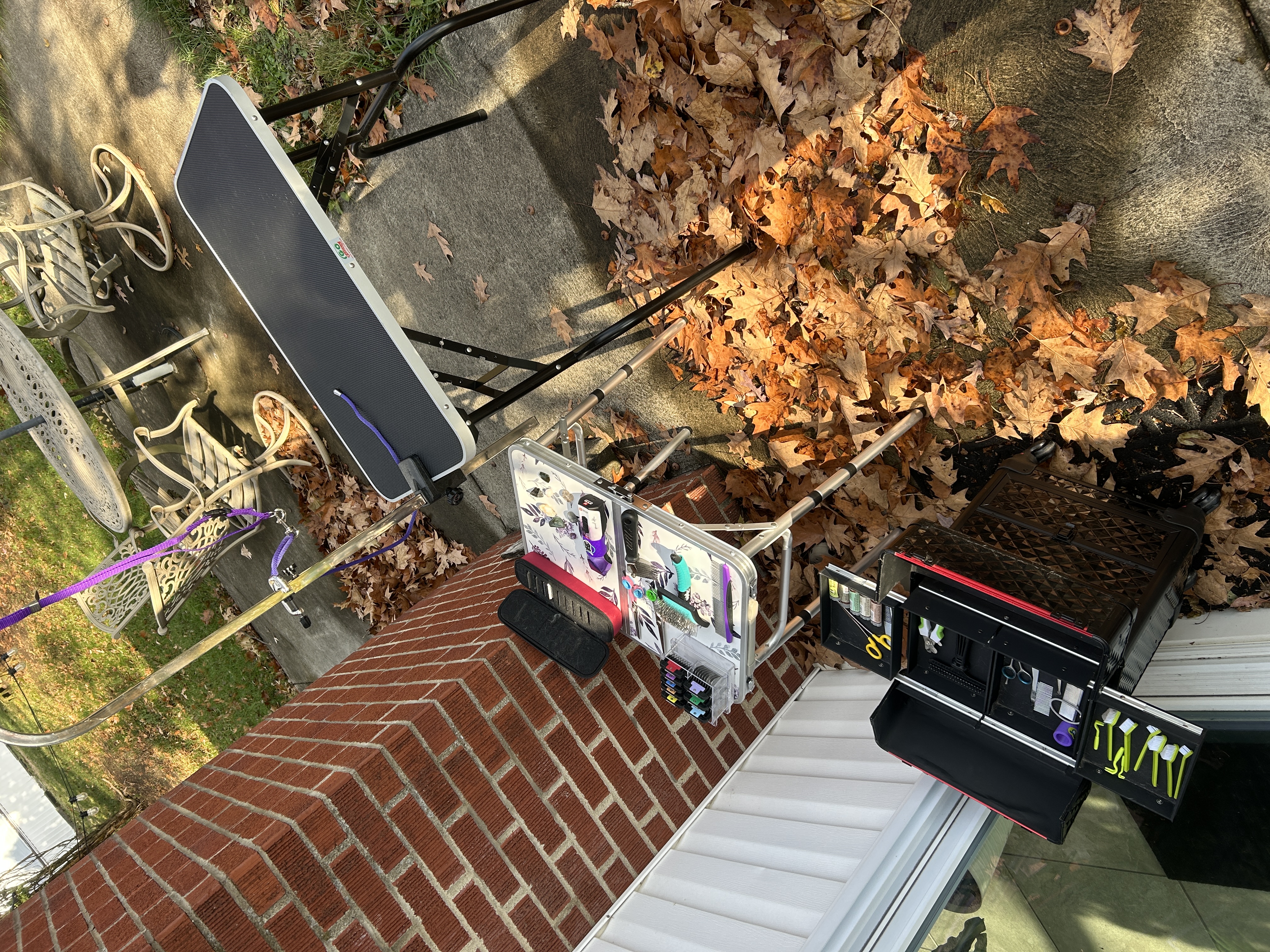  Full Service Dog Grooming