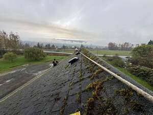 {{ custom_values.service_3 }} in {{custom_values.area_3})