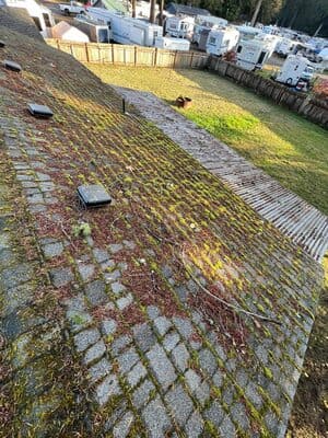 {{ custom_values.service_3 }} in {{custom_values.area_3})