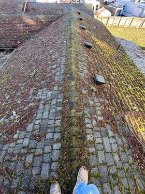 {{ custom_values.service_3 }} in {{custom_values.area_3})