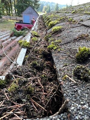 {{ custom_values.service_3 }} in {{custom_values.area_3})