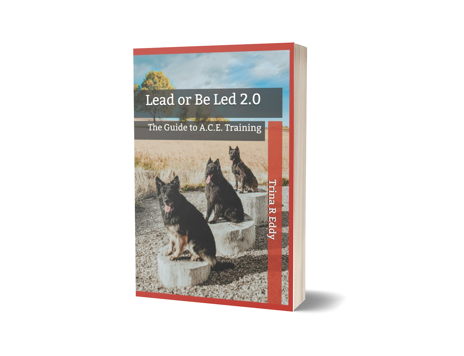 Lead or Be Led 2.0 — The Guide to A.C.E. Training, by Trina R. Eddy.